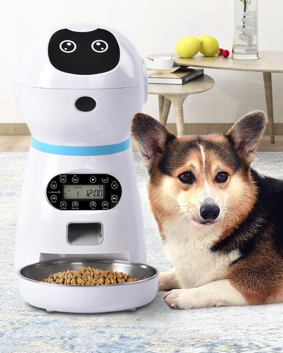 Automatic pet feeder with digital screen next to a corgi dog seated on rug
