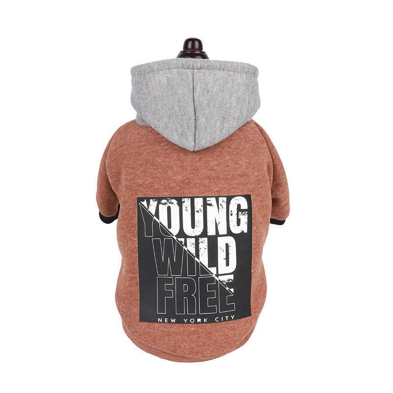Letter Print Hooded Sweatshirt