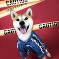 Charger l'image dans la visionneuse de la galerie, Smiling dog dressed in blue denim jacket featuring rainbow sequins and frayed trim on red background with caution tape
