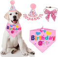 Cargar la imagen en la vista de la galería, Dog Birthday Party Supplies
