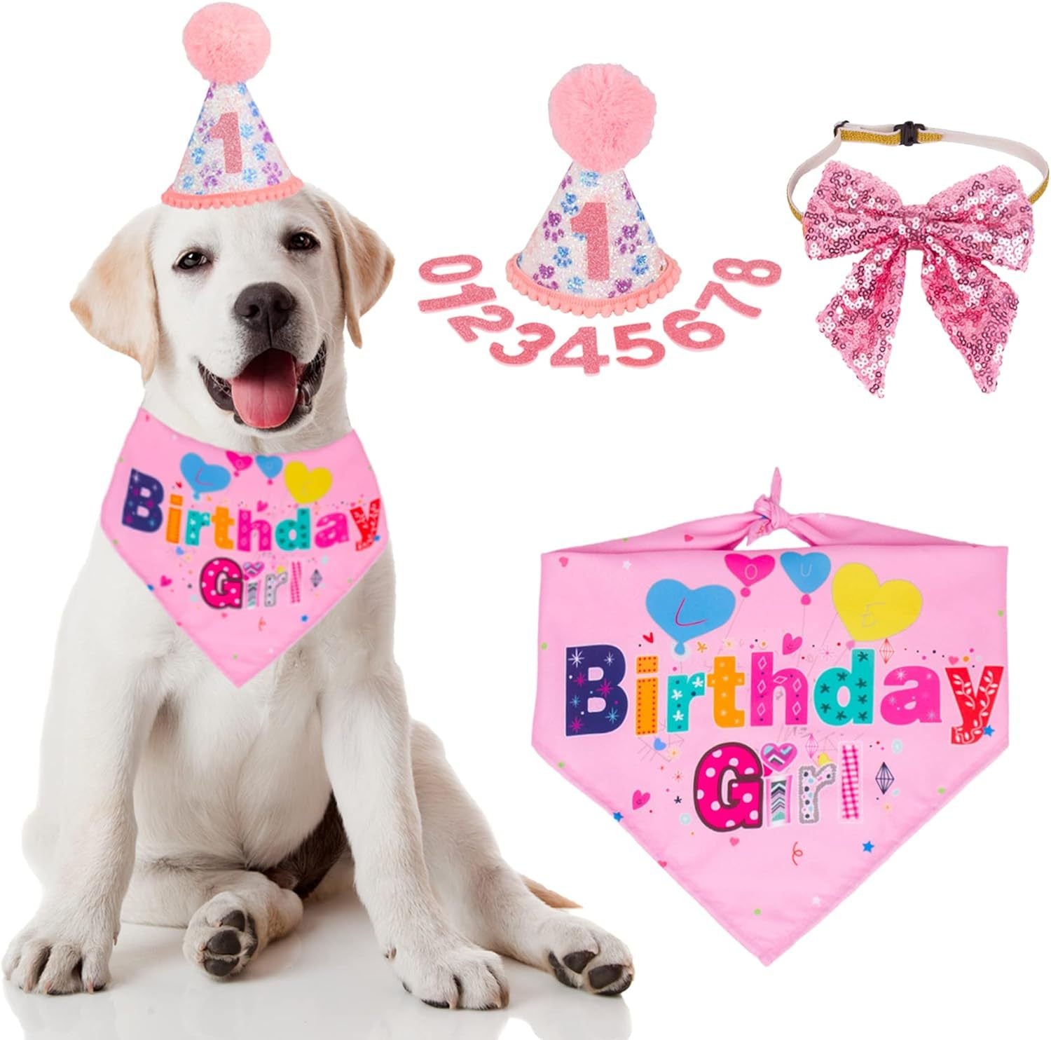 Dog Birthday Party Supplies