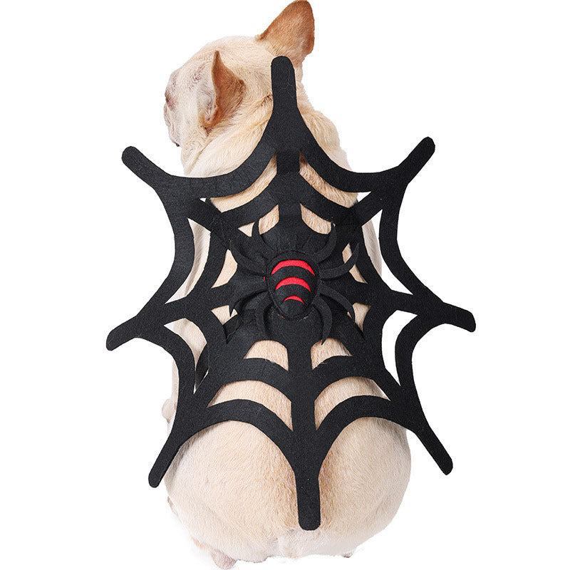 Small beige dog sitting, showcasing black felt spider web costume with red spider detail from back on white background