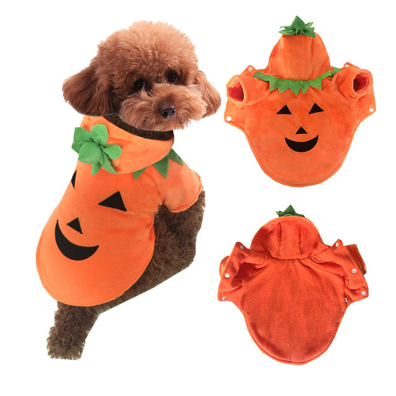 Small brown dog wearing a bright orange plush pumpkin costume with a green top on the hood and black jack-o-lantern face on the back