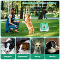 Load image into Gallery viewer, Automatic Dog Ball Launcher Included 6 Tennis Balls
