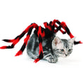 Load image into Gallery viewer, Detailed view showing front and back layout of red and black spider pet costume harness with adjustable straps
