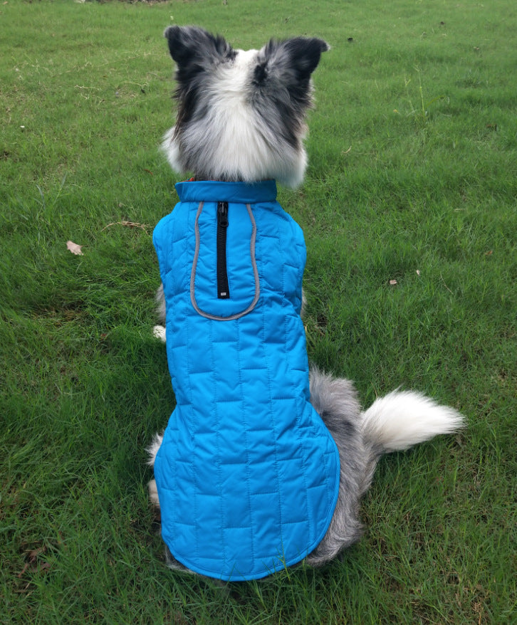 Side profile of a dog wearing a blue quilted winter jacket standing on grass