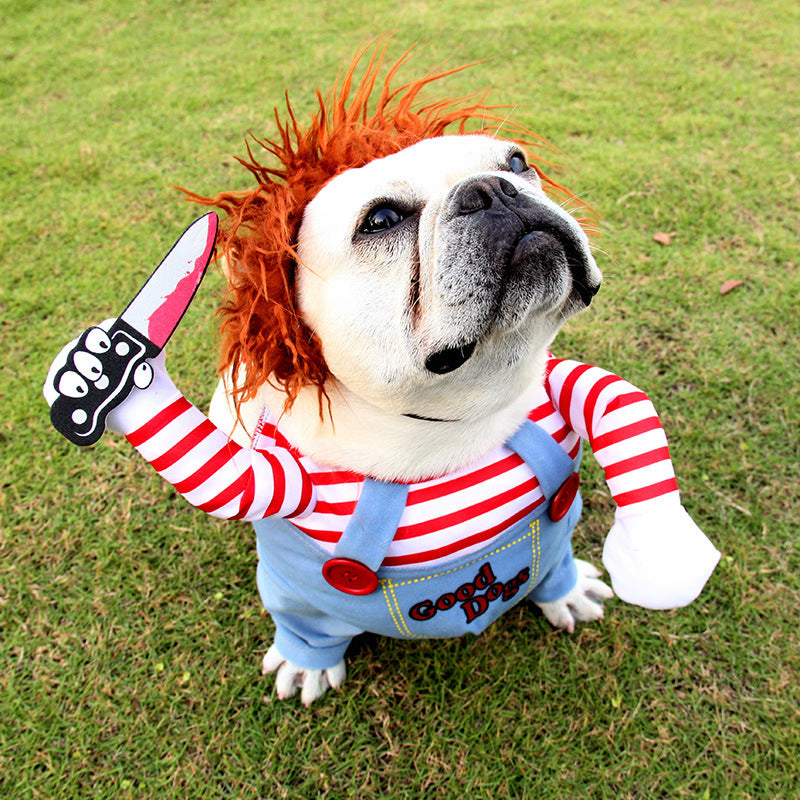 Close-up portrait of a small dog wearing Chucky costume with orange wig and holding a fake bloody knife