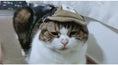 Load image into Gallery viewer, Pet Hat Sports Sunscreen Dog Breathable
