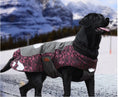 Cargar la imagen en la vista de la galería, Black dog wearing a pink camo-patterned and gray waterproof winter jacket outdoors in snow
