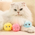 Load image into Gallery viewer, White fluffy cat resting with three colorful plush teaser balls in pink, yellow, and light blue
