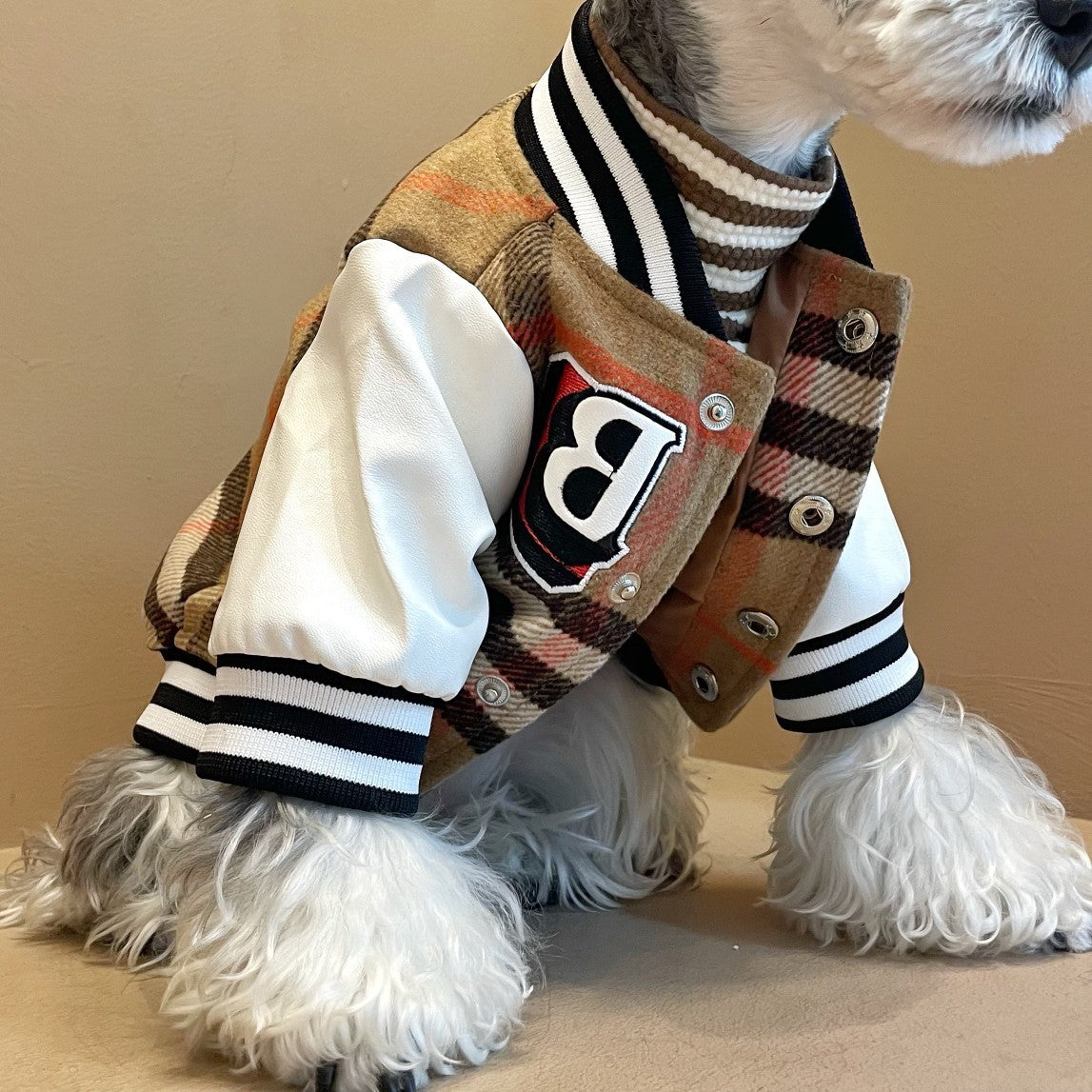 Close-up view of dog wearing jacket showcasing the wool plaid texture, letter B patch, and detailed snap buttons