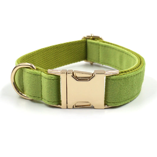 Close-up of matcha green velvet dog collar showing gold buckle and D-ring
