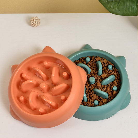 Close-up of green and orange slow feeder bowls filled with pet kibble and water on white surface