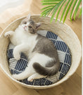 Load image into Gallery viewer, Cat lying inside rattan bed with geometric patterned cushion near plant

