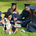 Load image into Gallery viewer, Dog Tassel Doctorial Hat Party Supplies Pet Hat
