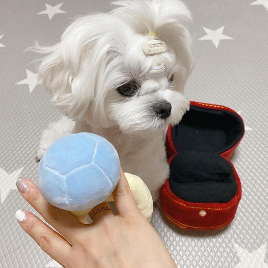 Single Dog Sounding Toy Ring Set