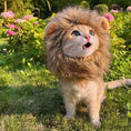 Load image into Gallery viewer, Pet Cat Decor Accessories Lion Wig Fancy Hair Caps Pet Supplies Cute Lion Headgear Cat Hat Mane Wig For Dogs And Cat Small Dog
