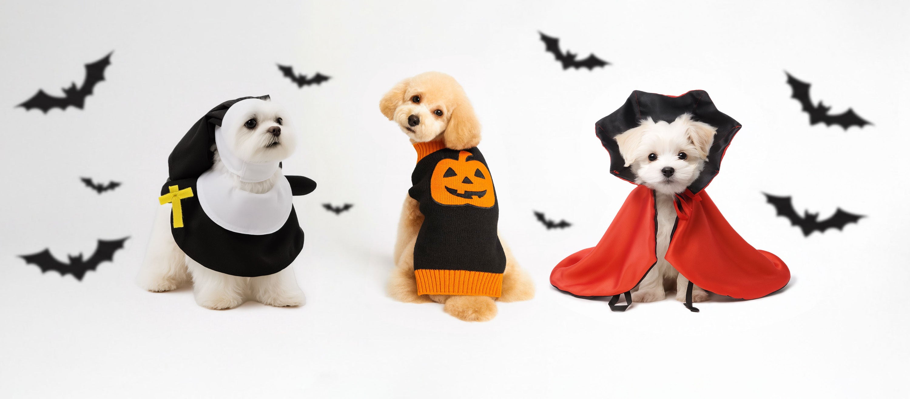 The Boss Pets