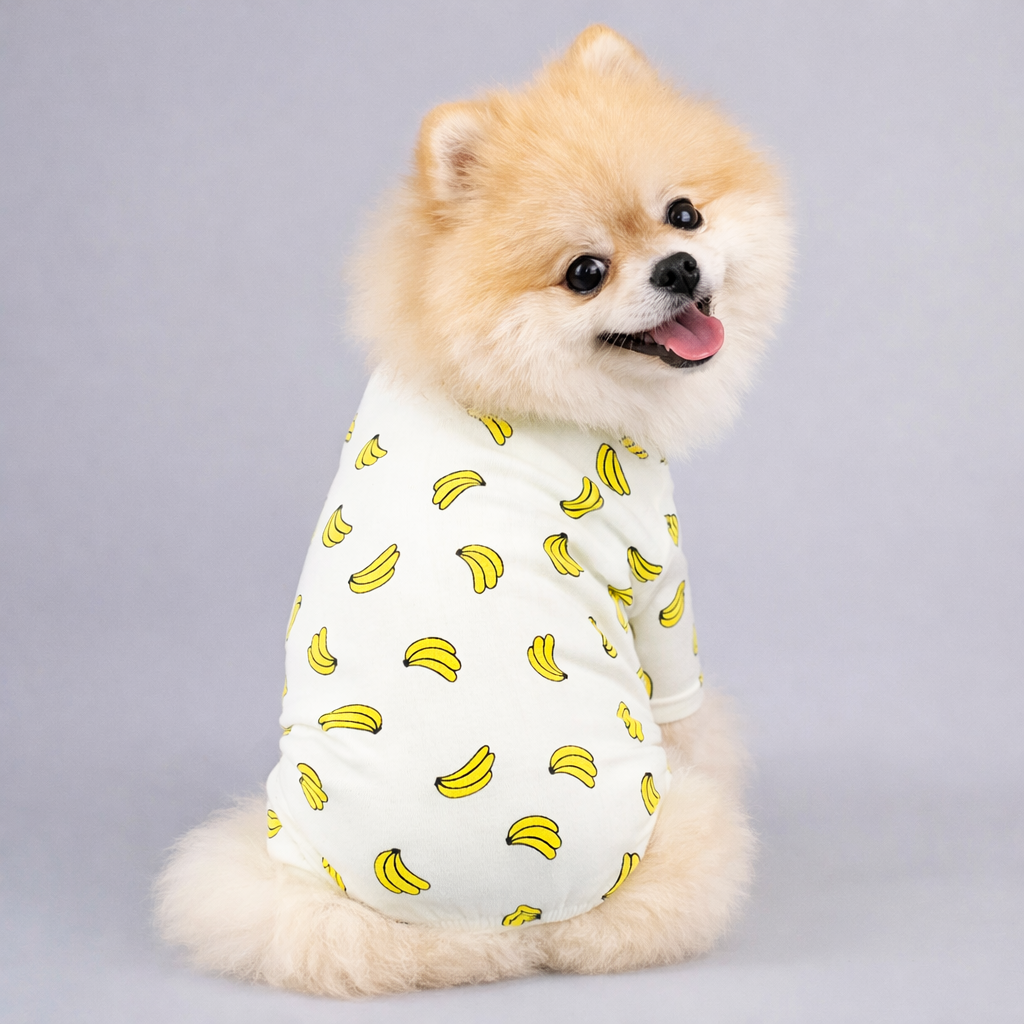 Small fluffy dog wearing white pajamas with yellow banana print, sitting and looking back with tongue out