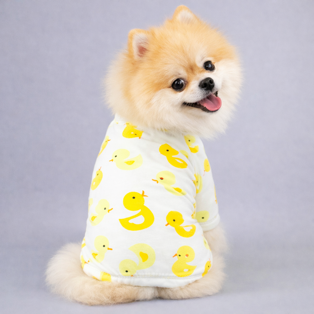 Small fluffy dog in white pajamas decorated with yellow duck patterns, sitting and smiling with tongue out