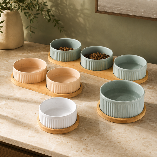 Ceramic Dog Bowl