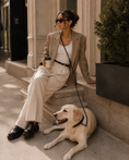 Load image into Gallery viewer, Hands Free Dog Leash
