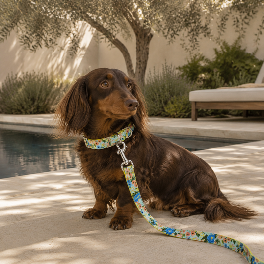 Floral Dog Leash and Collar Set