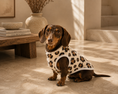 Load image into Gallery viewer, Dog Velvet Pattern Jacket
