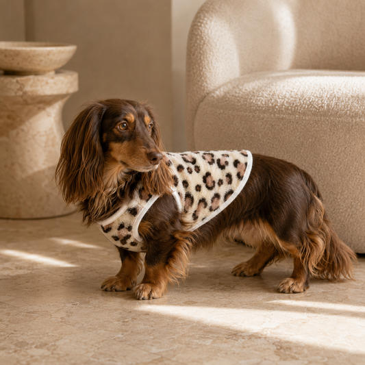 Dog Velvet Pattern Jacket