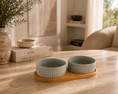 Load image into Gallery viewer, Ceramic Dog Bowl
