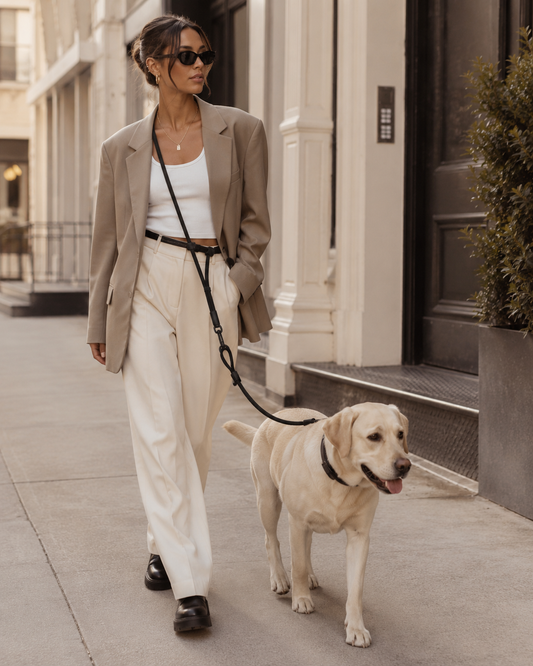 Hands Free Dog Leash