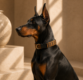 Load image into Gallery viewer, Greek Key Dog Collar & Leash Set
