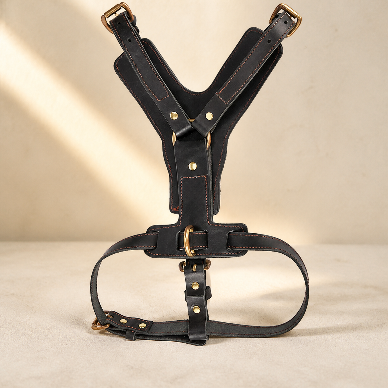 The Classic Leather Harness