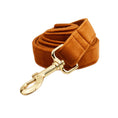 Load image into Gallery viewer, Blue velvet dog collar with gold-tone buckle engraved Almendra
