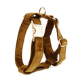 Load image into Gallery viewer, Velvet Dog Collar & Leash Set
