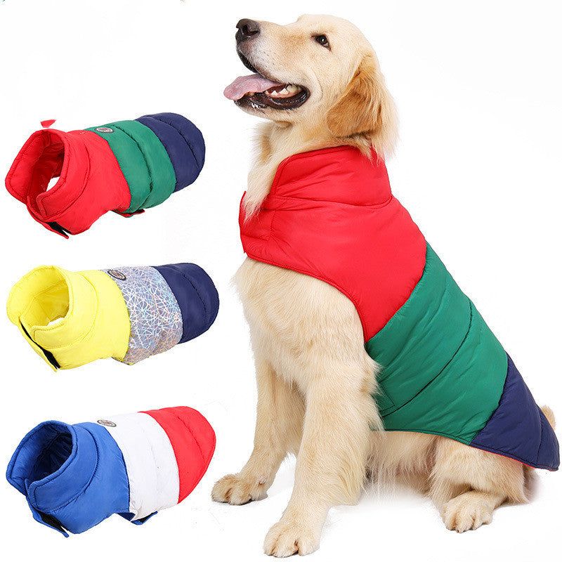 Golden retriever sitting wearing a red, green, and navy blue dog jacket alongside two other jackets in yellow and red color variants