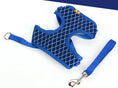 Charger l'image dans la visionneuse de la galerie, Dog Leash Breathable Mesh With Flash Diamond Nylon Pet Chest Back Leash
