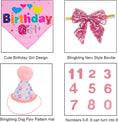 Cargar la imagen en la vista de la galería, Dog Birthday Party Supplies
