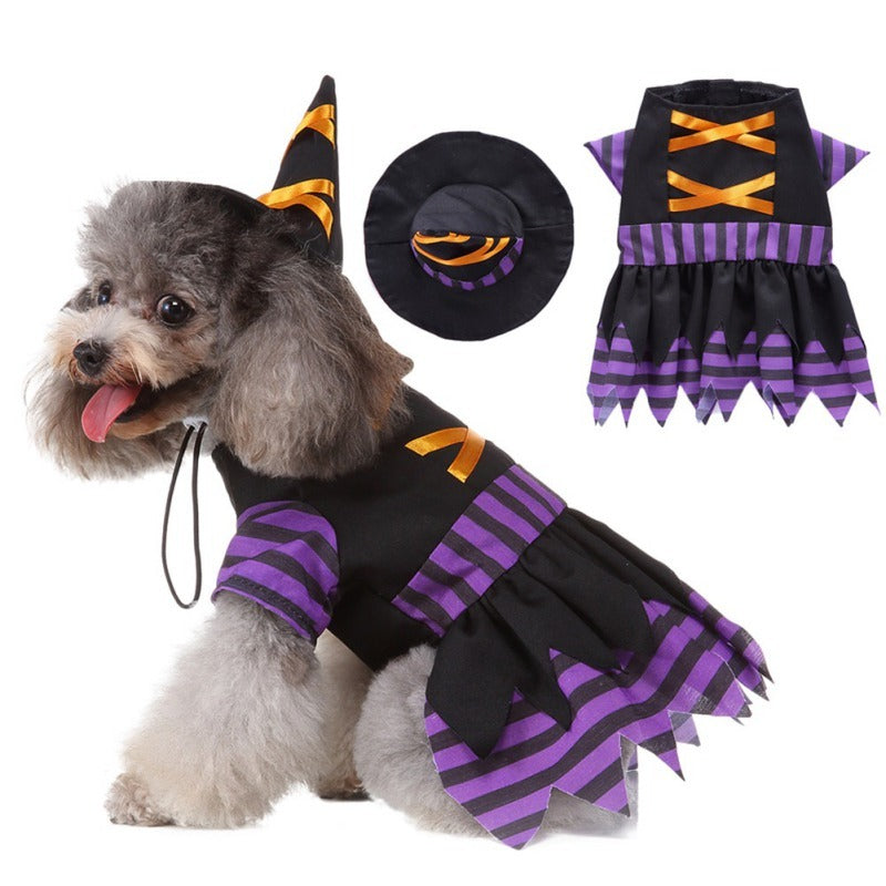Small fluffy dog sitting wearing the witch costume and hat, alongside the costume and hat laid flat to show details.