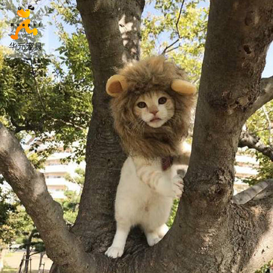 Lion Small Ears Wig Dog Hat Pet Wig Transformation