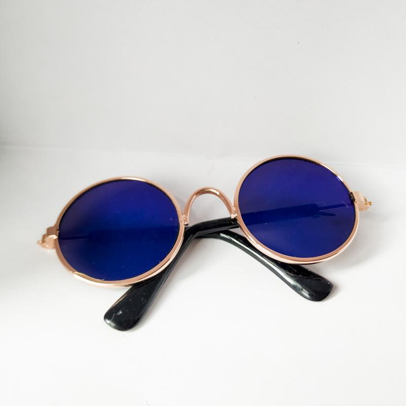 Round frame pet eyewear with black lenses displayed from top view  
