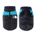 Charger l'image dans la visionneuse de la galerie, Front and back view of black and blue waterproof dog vest with padded insulation and dual D-ring leash attachment
