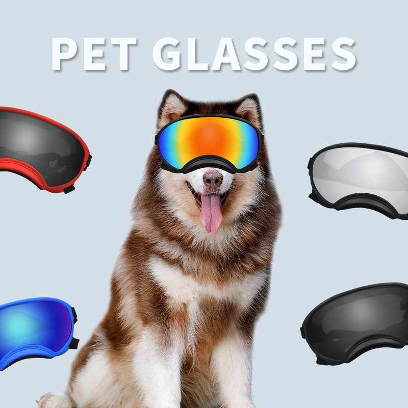 Dog wearing windproof polarized goggles for outdoor protection