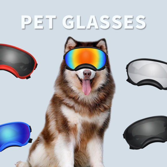 Dog wearing windproof polarized goggles for outdoor protection