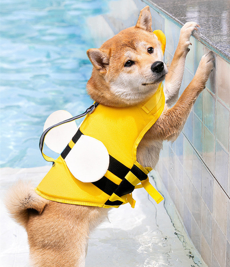 Shiba Inu dog standing with front paws on poolside wearing yellow life jacket with white wings
