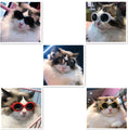Load image into Gallery viewer, Pet Dog Cat Multi-color Sunglasses Cool Handsome Accessories
