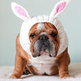 Load image into Gallery viewer, Windproof Halloween Knitted Dog Hat
