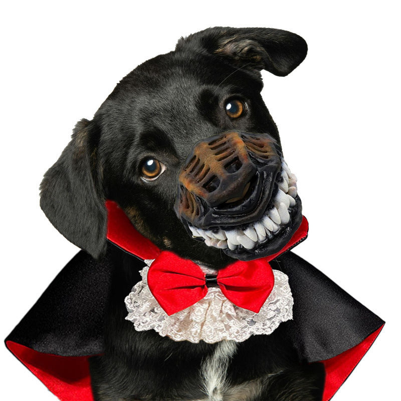 Black dog with short fur wearing a black and red vampire cape with lace collar and red bow tie, plus vampire teeth muzzle