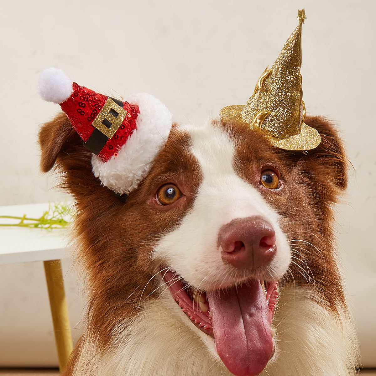 Christmas Pet Hat