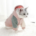 Charger l'image dans la visionneuse de la galerie, Small Dog Pet Autumn Coat Keeps Warm
